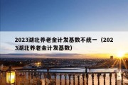 2023湖北养老金计发基数不统一（2023湖北养老金计发基数）