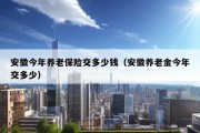 安徽今年养老保险交多少钱（安徽养老金今年交多少）