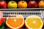 河南省补缴养老金最新政策(河南养老保险补缴新政策2019)