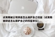 试用期被公司辞退怎么维护自己权益（试用期被辞退怎么维护自己的权益单位）