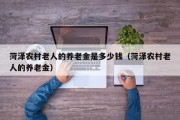 菏泽农村老人的养老金是多少钱（菏泽农村老人的养老金）