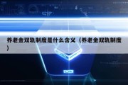 养老金双轨制度是什么含义（养老金双轨制度）