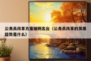 公务员改革方案细则出台（公务员改革的发展趋势是什么）