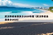 武汉养老金涨多少2020年度（武汉养老金涨多少2020）