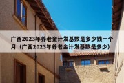 广西2023年养老金计发基数是多少钱一个月（广西2023年养老金计发基数是多少）