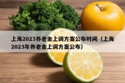 上海2023养老金上调方案公布时间（上海2023年养老金上调方案公布）