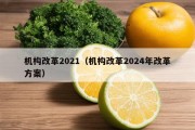 机构改革2021（机构改革2024年改革方案）