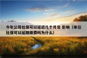 今年公司社保可以延迟几个月交 影响（单位社保可以延期缴费吗为什么）