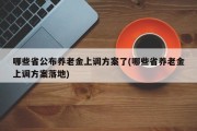 哪些省公布养老金上调方案了(哪些省养老金上调方案落地)