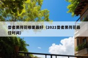 普者黑荷花哪里最好（2021普者黑荷花最佳时间）