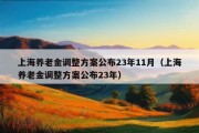 上海养老金调整方案公布23年11月（上海养老金调整方案公布23年）