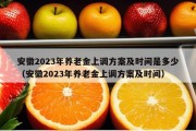 安徽2023年养老金上调方案及时间是多少（安徽2023年养老金上调方案及时间）