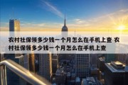 农村社保领多少钱一个月怎么在手机上查 农村社保领多少钱一个月怎么在手机上查