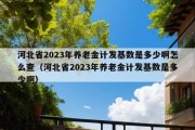 河北省2023年养老金计发基数是多少啊怎么查（河北省2023年养老金计发基数是多少啊）