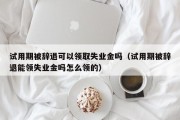 试用期被辞退可以领取失业金吗（试用期被辞退能领失业金吗怎么领的）