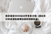 新农保交5000元60岁拿多少钱（湖北农村养老保险缴费标准和领取标准）