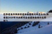 在养老金改革前后退休金差距大吗怎么办(养老金2020年大改革对企业退休金有什么好处?)