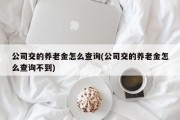 公司交的养老金怎么查询(公司交的养老金怎么查询不到)