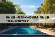 农村社保一年交1000能领多少 农村社保一年交3000能领多少