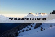 江西省2023年养老金计发基数确定