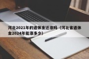 河北2021年的退休金还涨吗（河北省退休金2024年能涨多少）