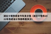 湖北十堰养老金今年多少钱（湖北十堰市2022年养老金计发基数是多少）