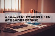 山东省2020年农村养老保险新规定（山东省农村基本养老保险政策解读）