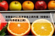 安徽省2021年养老金上调方案（安徽省2021年养老金上调）