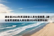 湖北省2022年灵活就业人员社保缴费（湖北省灵活就业人员社保2024年缴费标准）