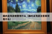 国内自驾游需要带什么（国内自驾游注意事项是什么）