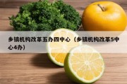 乡镇机构改革五办四中心（乡镇机构改革5中心4办）