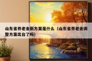 山东省养老金新方案是什么（山东省养老金调整方案出台了吗）