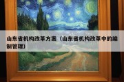 山东省机构改革方案（山东省机构改革中的编制管理）