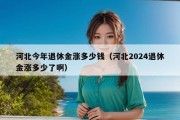 河北今年退休金涨多少钱（河北2024退休金涨多少了啊）