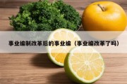 事业编制改革后的事业编（事业编改革了吗）