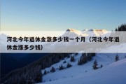 河北今年退休金涨多少钱一个月（河北今年退休金涨多少钱）