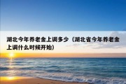 湖北今年养老金上调多少（湖北省今年养老金上调什么时候开始）