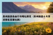 贵州旅游自由行攻略杜鹃花（贵州旅游十大景点排名百里杜鹃）