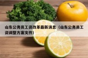 山东公务员工资改革最新消息（山东公务员工资调整方案文件）