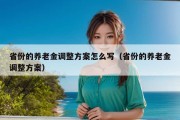 省份的养老金调整方案怎么写（省份的养老金调整方案）