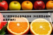 出门露营旅游必备物品清单（外出露营必备物品清单图片）