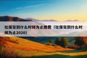 社保交到什么时候为止缴费（社保交到什么时候为止2020）