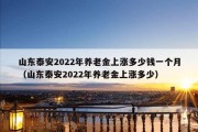 山东泰安2022年养老金上涨多少钱一个月（山东泰安2022年养老金上涨多少）