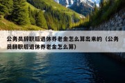 公务员辞职后退休养老金怎么算出来的（公务员辞职后退休养老金怎么算）