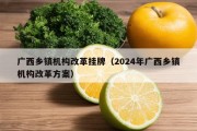 广西乡镇机构改革挂牌（2024年广西乡镇机构改革方案）