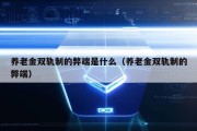 养老金双轨制的弊端是什么（养老金双轨制的弊端）