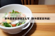 野外露营宣传语怎么写（野外露营宣传语）