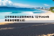 辽宁养老金认证软件叫什么（辽宁2024年养老金在哪里认证）