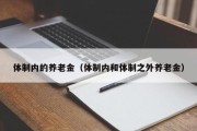 体制内的养老金（体制内和体制之外养老金）