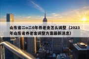 山东省二o二0年养老金怎么调整（2023年山东省养老金调整方案最新消息）